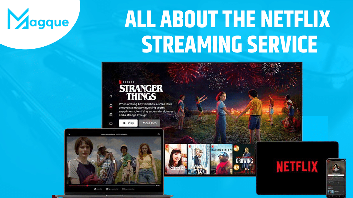 You are currently viewing All About The Netflix Streaming Service
