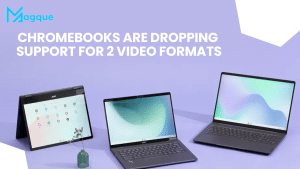Read more about the article Chromebooks Are Dropping Support For 2 Video Formats