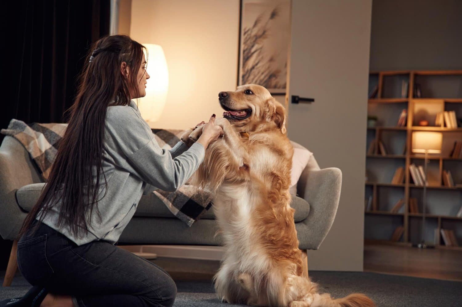Read more about the article Pet Tech: Gadgets for Your Furry Friends