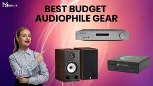 Read more about the article Best Budget Audiophile Gear