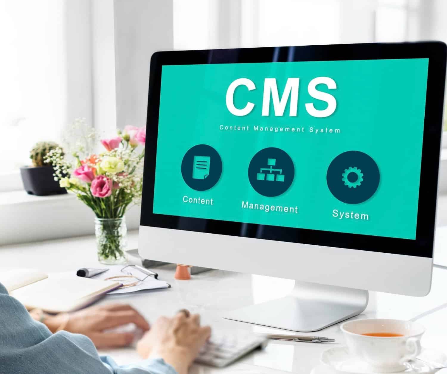 Read more about the article Choosing the Right CMS for Your Website