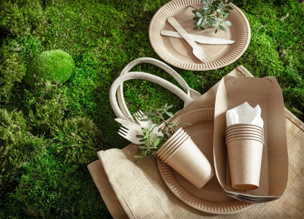 Sustainable and Eco-Friendly Products to Consider