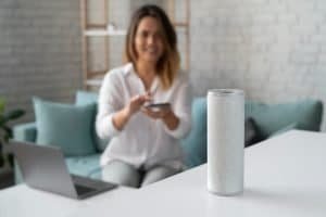 Read more about the article Voice Shopping via Smart Assistants