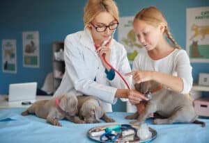Read more about the article Medpets Tierapotheke Online DE: Enhancing Pet Health With Top Veterinary Supplies In 2024