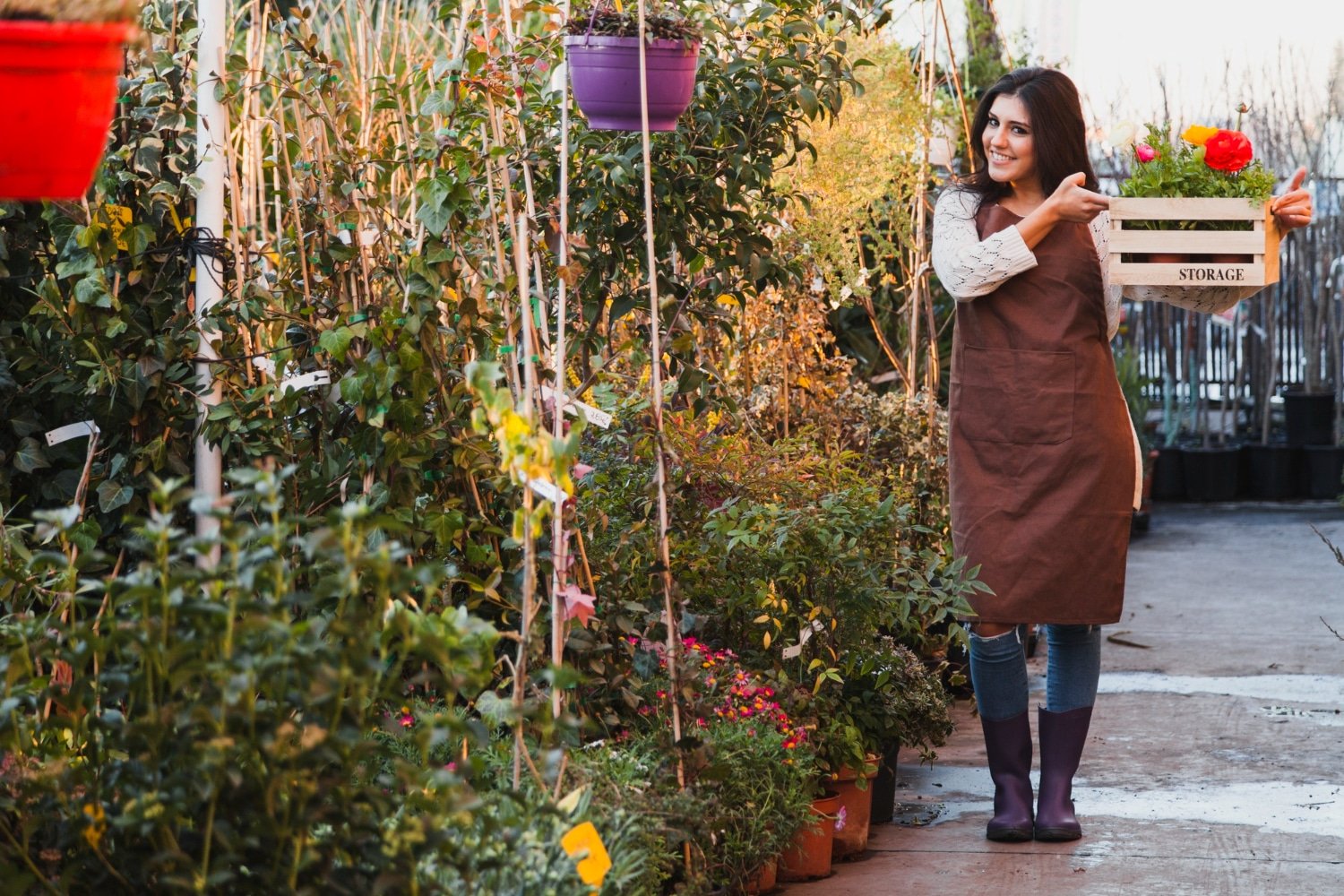 J Parkers Garden Blooms: Beautifying Your Outdoor Space in 2024