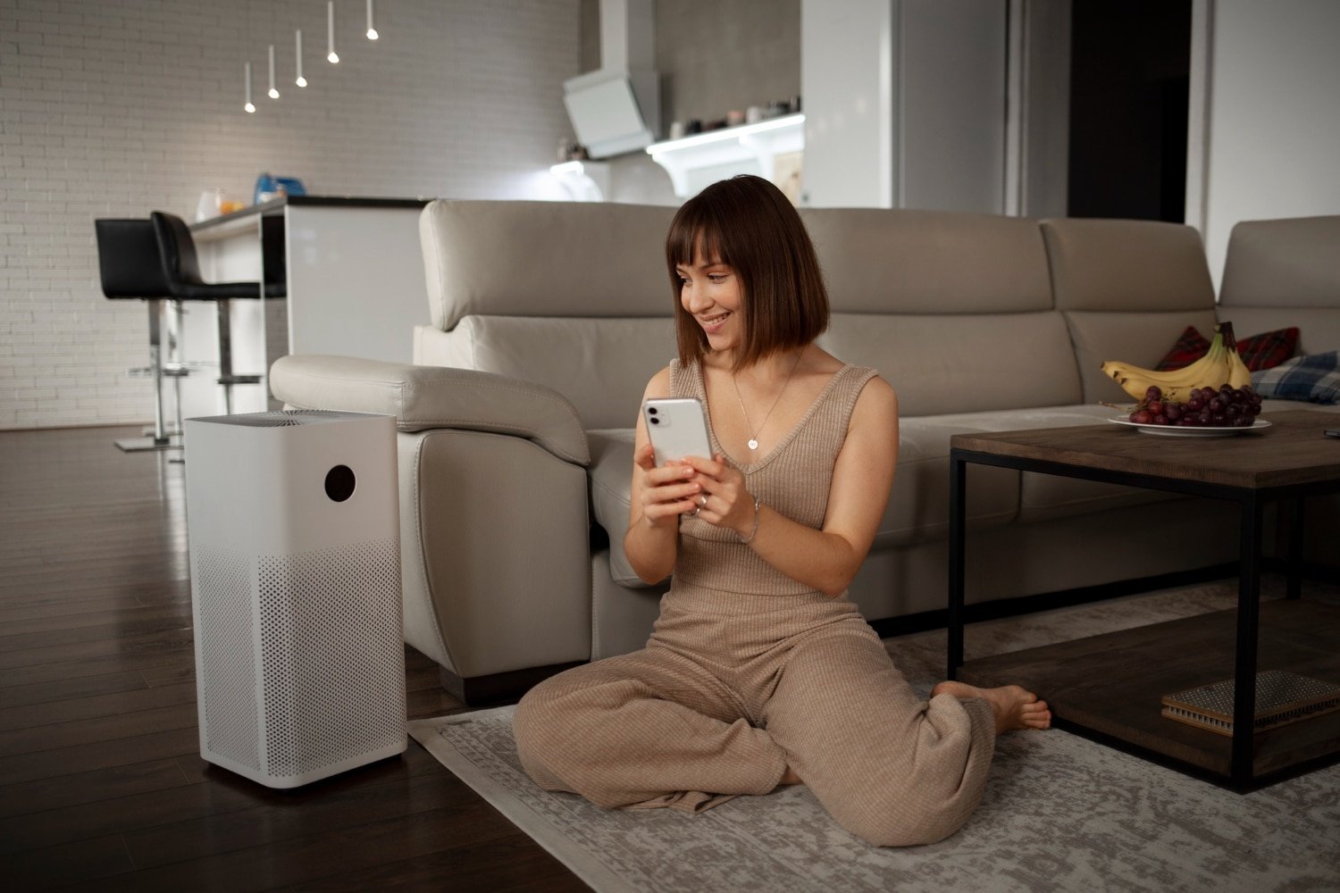 You are currently viewing Breathe Easy With DiscountFilters.com: The Future Of Home Air Quality In 2024