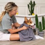 Pampering Pets Like Royalty
