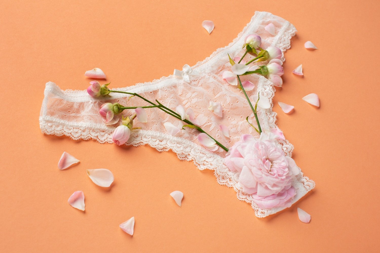 The Best of Lounge Underwear US: Comfort Meets Sexy