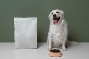 Read more about the article Forthglade Natural Pet Food for Healthy Companions