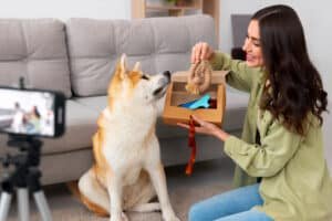 Read more about the article Pamper Your Pets With Voormijndier.nl: Premium Pet Care Products In 2024