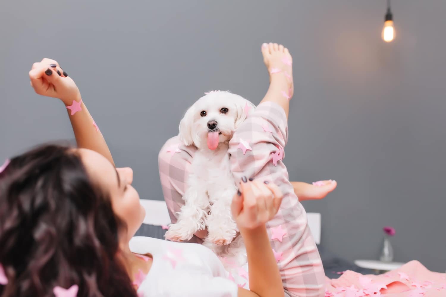 Johndog.pl’s Pet Pampering: Spoiling Your Furry Friends in 2024