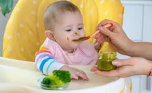Read more about the article Little Spoon, Inc: Nutritious and Convenient Baby Food Solutions