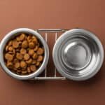 ButcherBox For Pets Premium Pet Nutrition