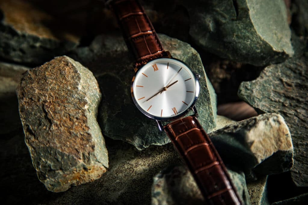 Fossil Timeless Watches and Accessories