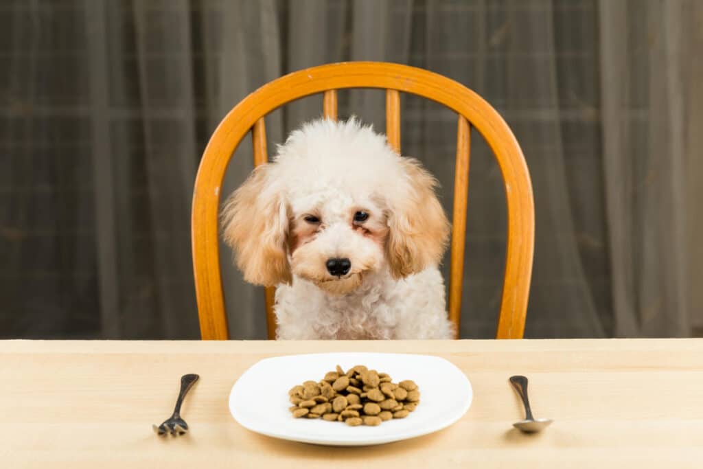 Pet Plate Fresh Meal