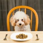 Pet Plate Fresh Meal
