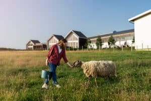 Read more about the article Redefine Rural Life With Murdoch’s Ranch & Home Supply: Gear For Country Living In 2024