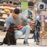 Wild One: Stylish and Functional Pet Products for the Modern Pet Owner