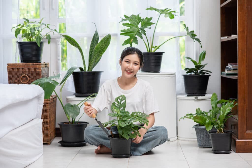 Click & Grow The Smart Indoor Garden