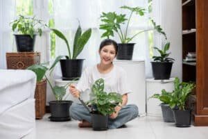 Read more about the article Click & Grow The Smart Indoor Garden
