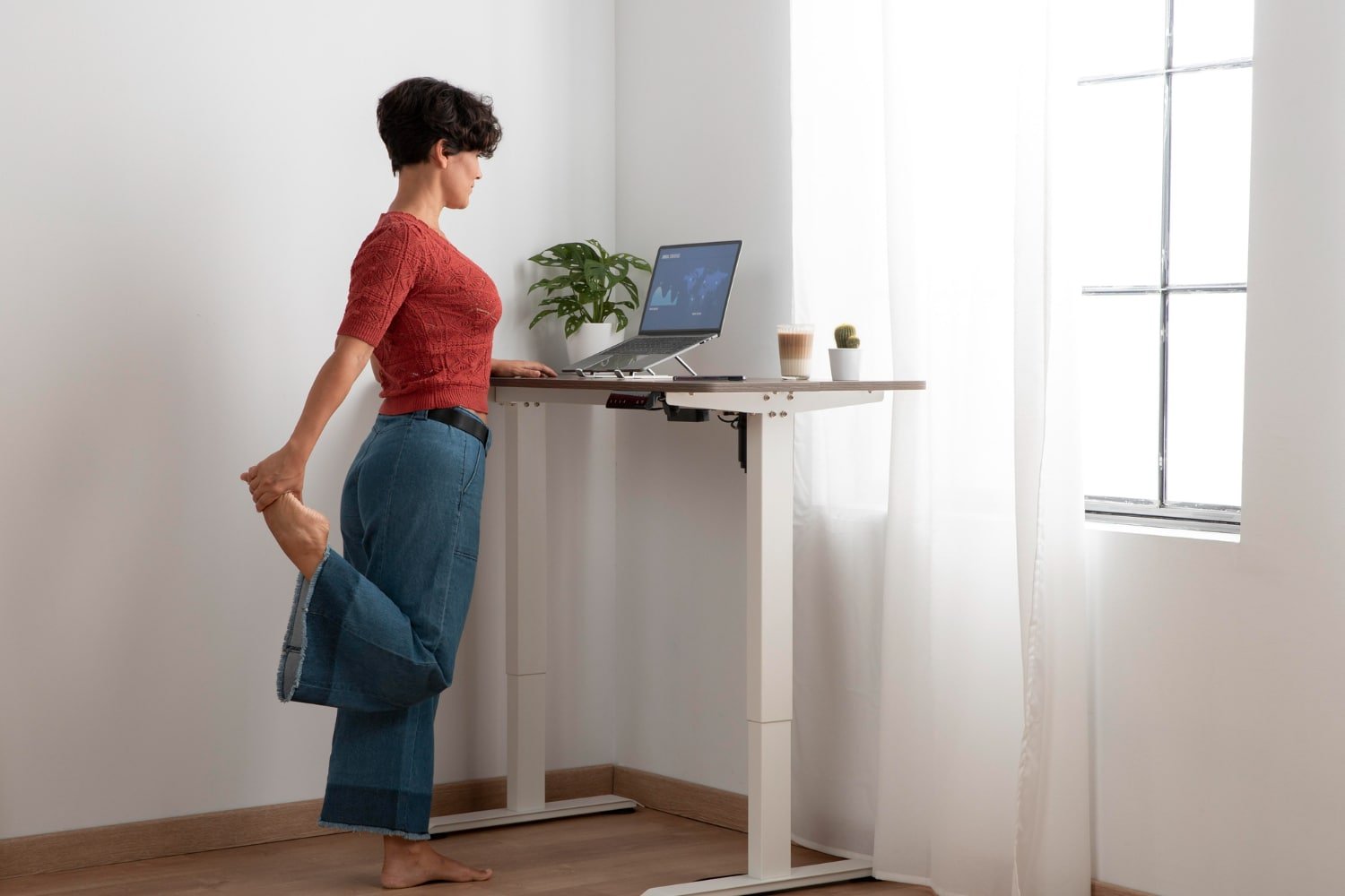 FlexiSpot Standing Desk Revolution