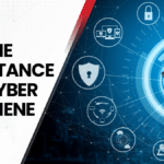 The Importance of Cyber Hygiene