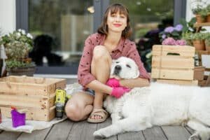 Read more about the article Pet Care Made Simple with Budgetpetcare.com: Affordable Pet Health Products in 2024
