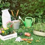Plants and Gardening Supplies for a Blooming Garden
