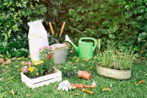 Read more about the article Garden Beauty with Sarah Raven: Plants and Gardening Supplies for a Blooming Garden in 2024