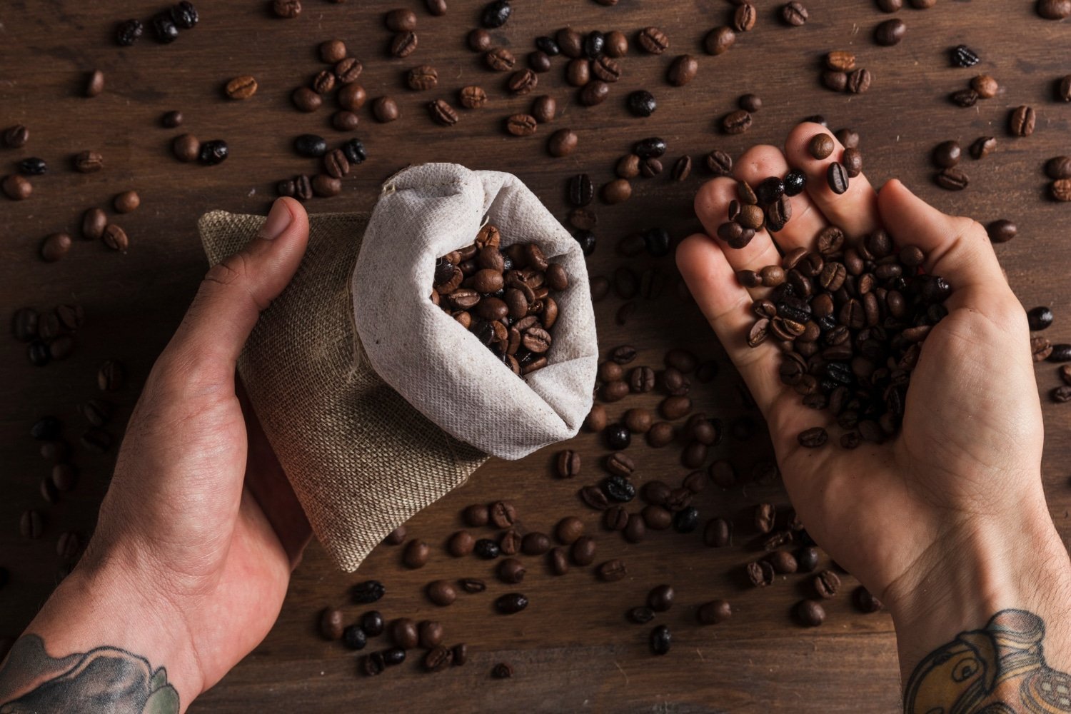 You are currently viewing Gourmet Discoveries with Fabula Coffee: Artisan Coffee Beans for Connoisseurs in 2024