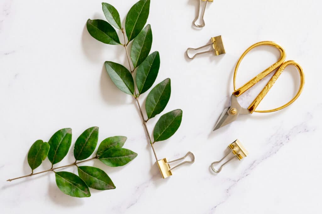 Eco-Friendly Jewelry and Hair Accessories