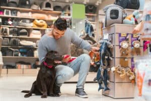 Read more about the article Find Everything For Your Pet At Pet Supermarket’s Comprehensive Store
