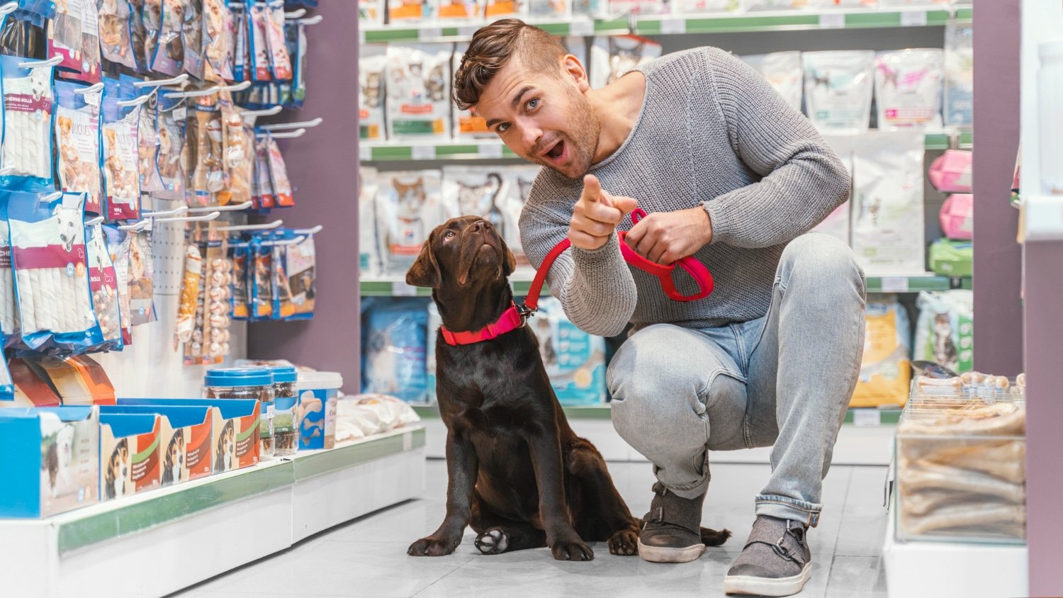 Shop For High-Quality Pet Products At Zooplus SE