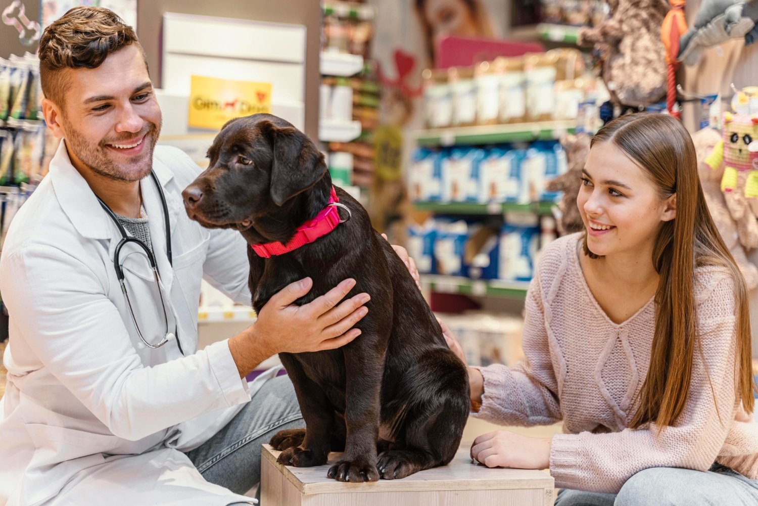 You are currently viewing Pet Care with VetSupply.com.au: Veterinary Supplies and Medications in 2024