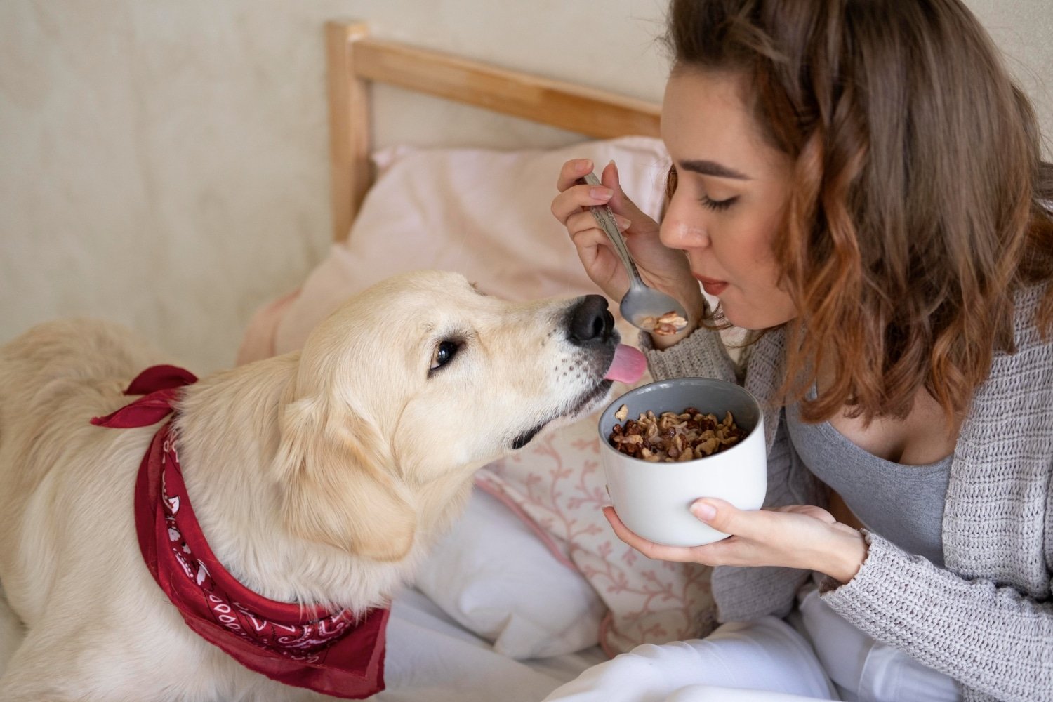 Feed Your Pet The Best With Burns Pet Food’s Nutritious Recipes