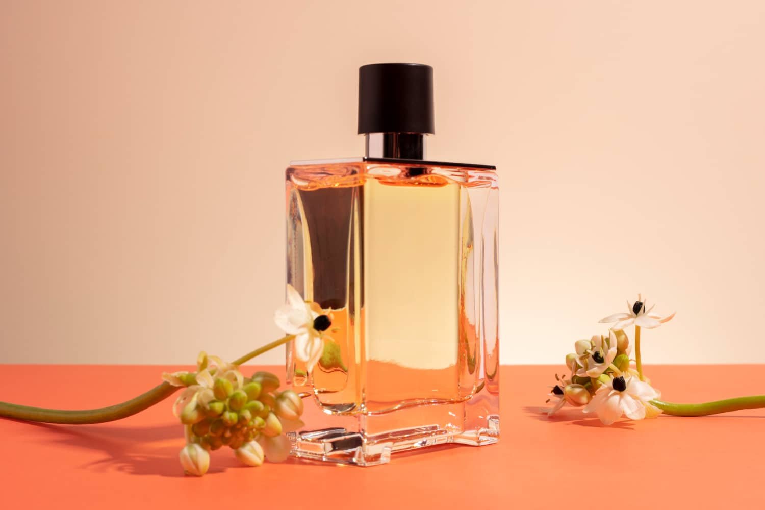 Indulge in Luxury with Jo Malone: Exquisite Fragrances for 2024