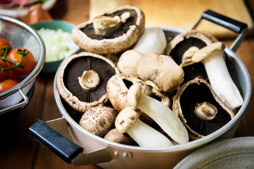 Grow Your Own Mushrooms