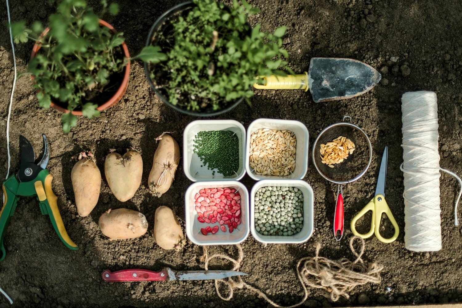 Read more about the article Garden Delights with Ferry-Morse Home Gardening: Seeds and Supplies for Your Garden in 2024