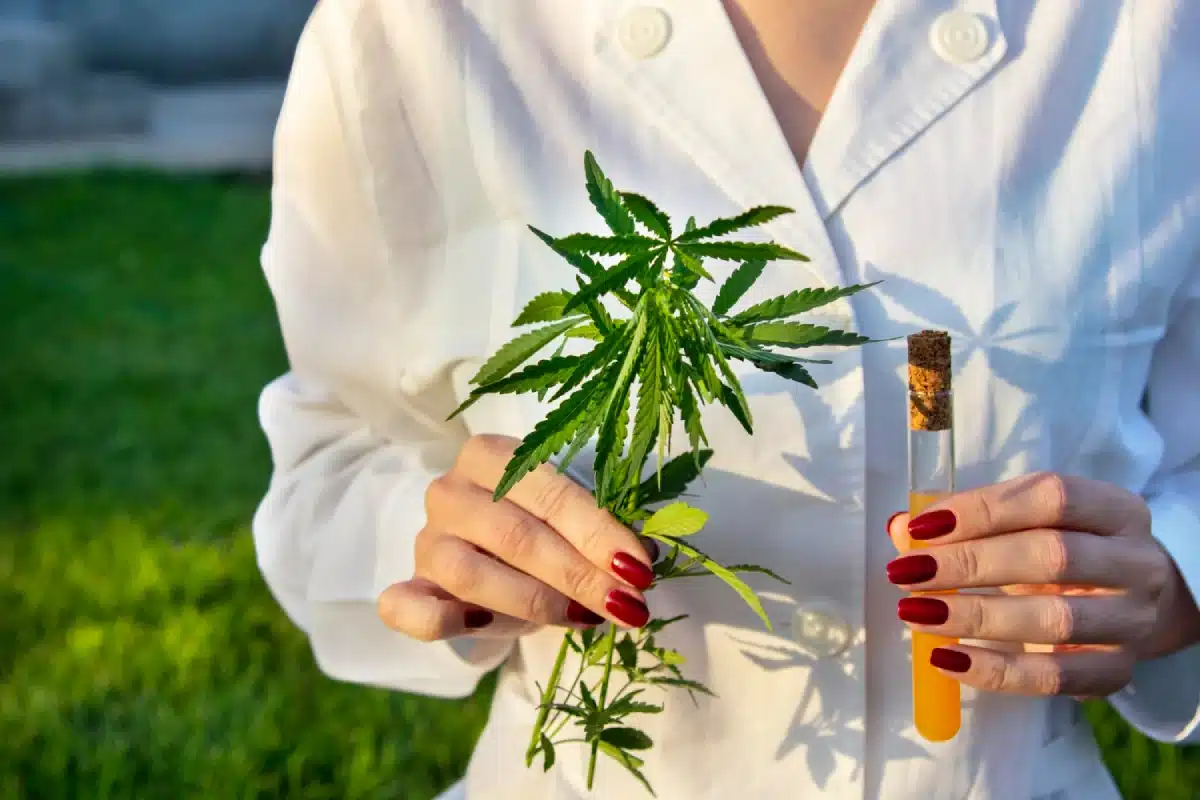 Experience The Healing Power Of Hemp With The Hemp Collect’s CBD Products
