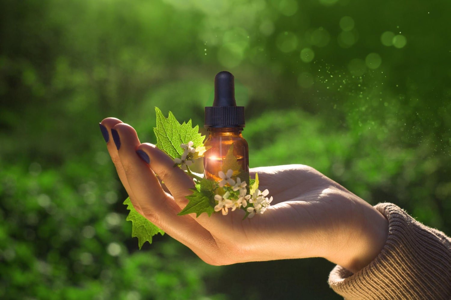 Read more about the article CBD Wellness with Cannabuben – CBD: High-Quality CBD Products for Health in 2024