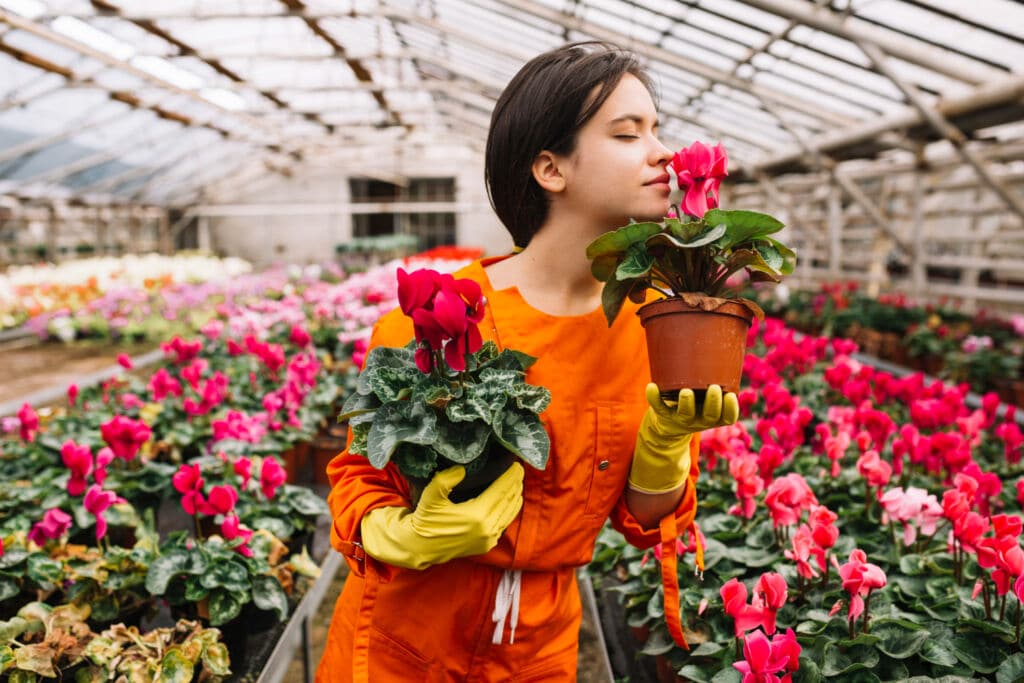 Global Rose's Direct-From-Farm Flowers