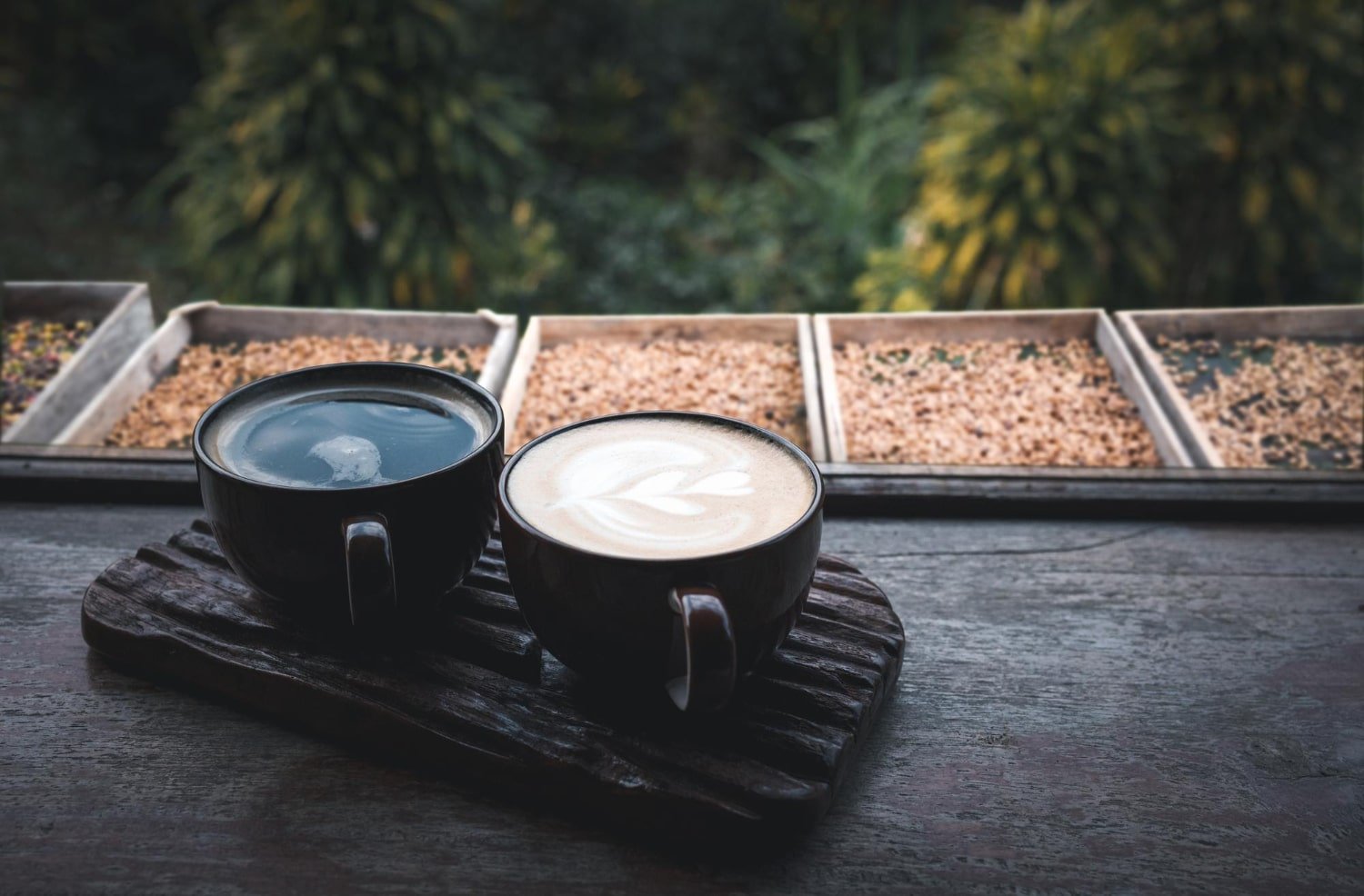 Read more about the article Morning Rituals: MUD\WTR’s 2024 Coffee Alternative