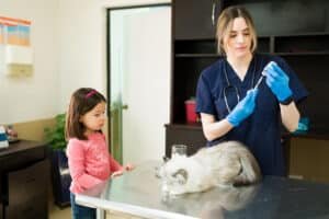 Read more about the article Pet Care Made Easy with PetCareRx: Everything Your Pet Needs in 2024