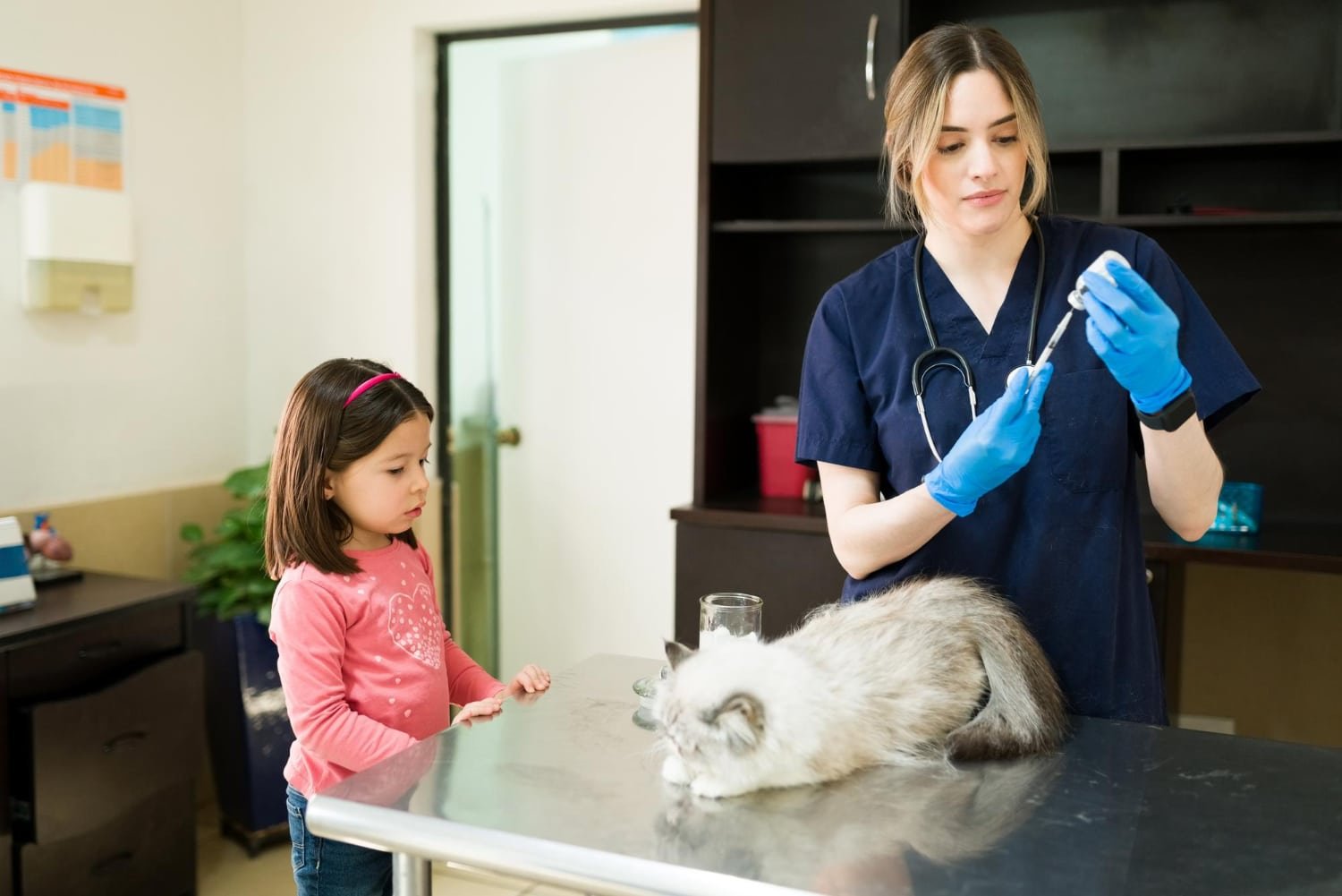 Pet Care Made Easy with PetCareRx: Everything Your Pet Needs in 2024