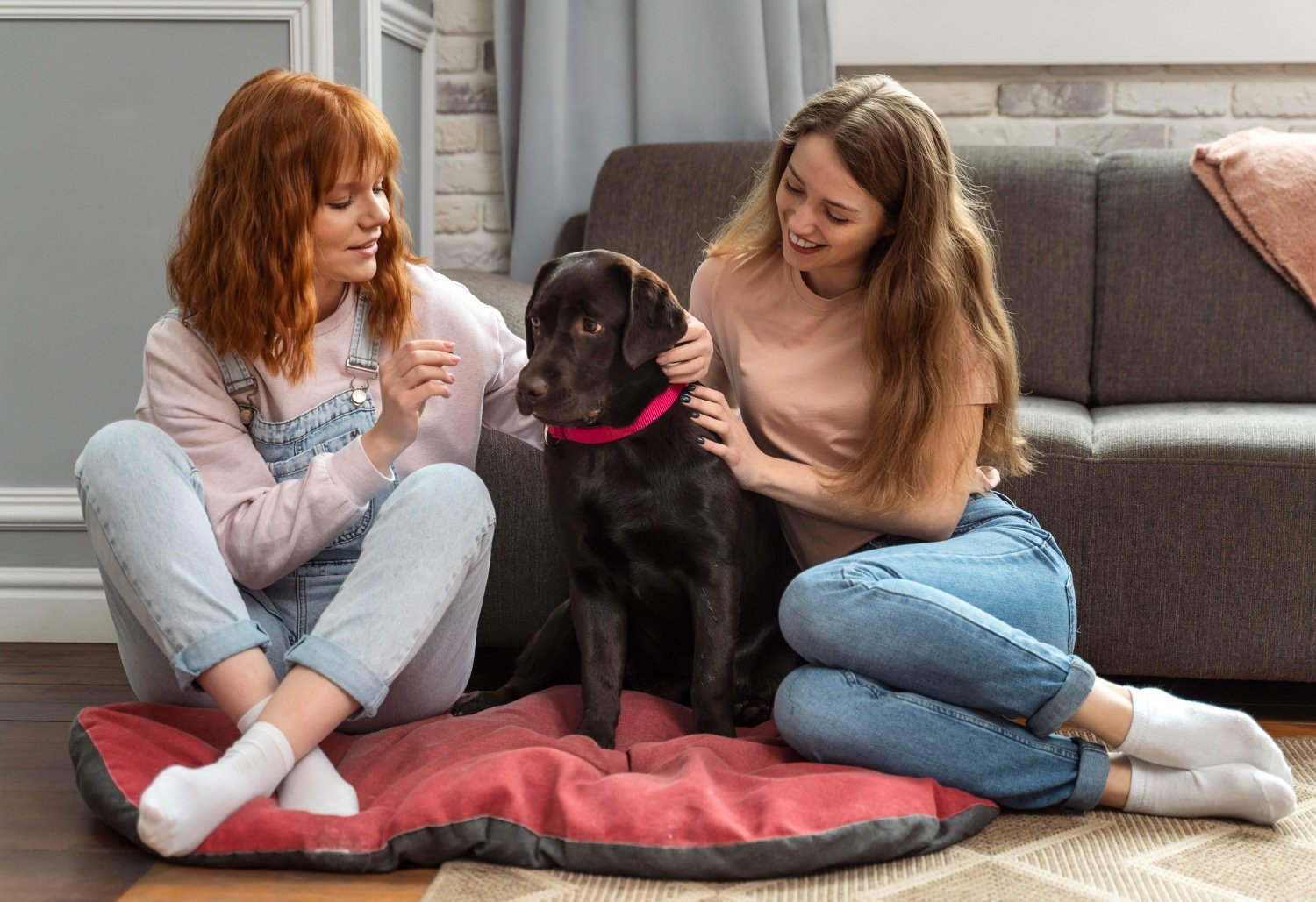 Read more about the article Pet Care Essentials with PetSmart Canada: Everything for Your Furry Friends in 2024