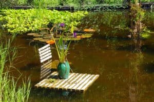 Read more about the article Create A Beautiful Pond With Pondkeeper’s Quality Pond Supplies And Equipment