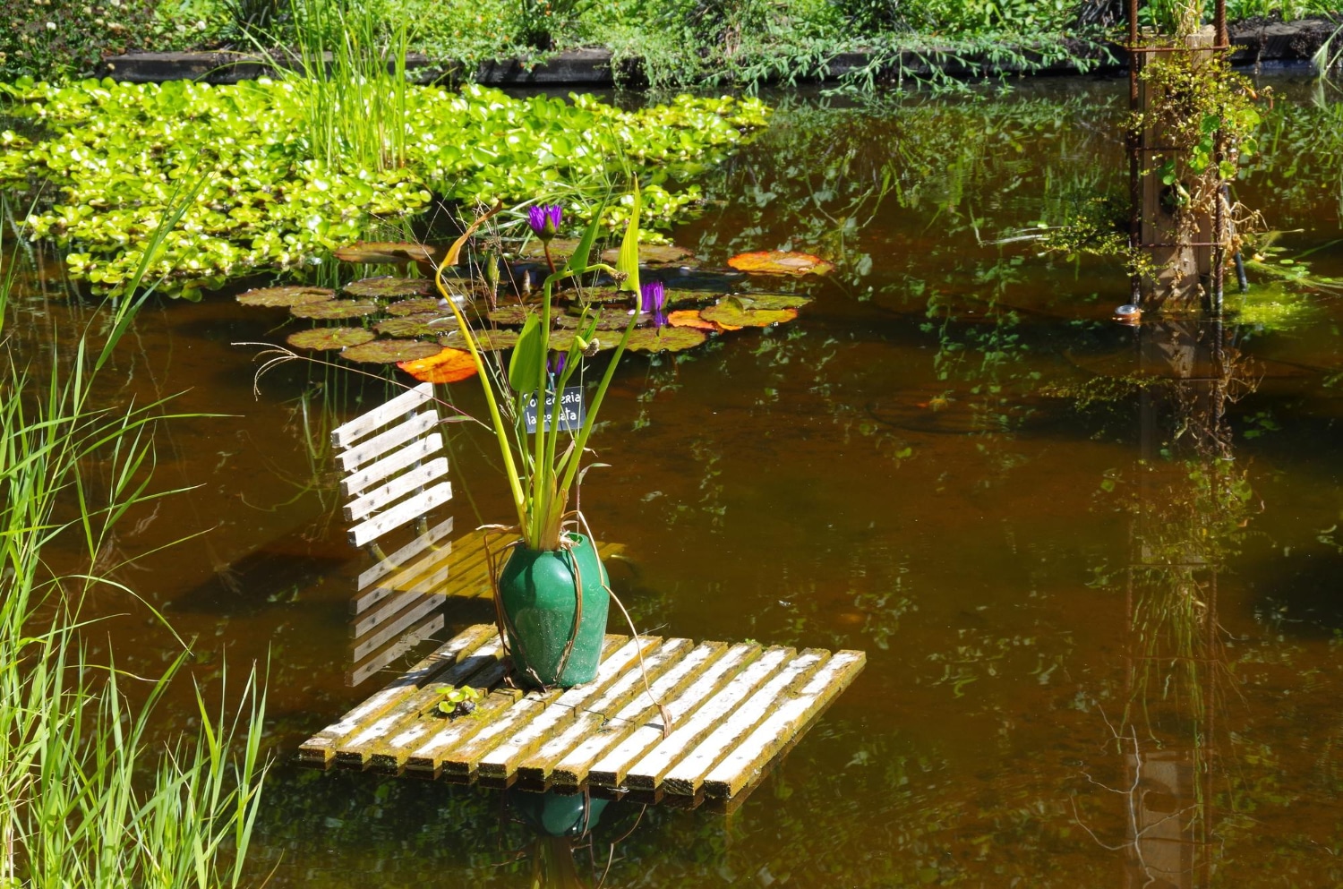 Create A Beautiful Pond With Pondkeeper’s Quality Pond Supplies And Equipment