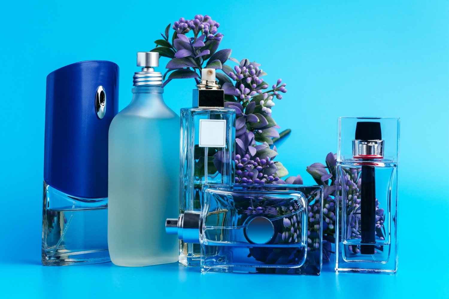 Unique Fragrances with Snif: Perfumes with a Modern Twist in 2024