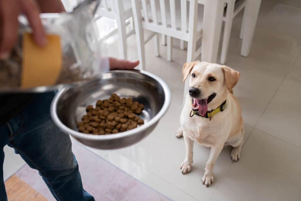 WeFeedRaw's Raw Pet Food Delivery Service