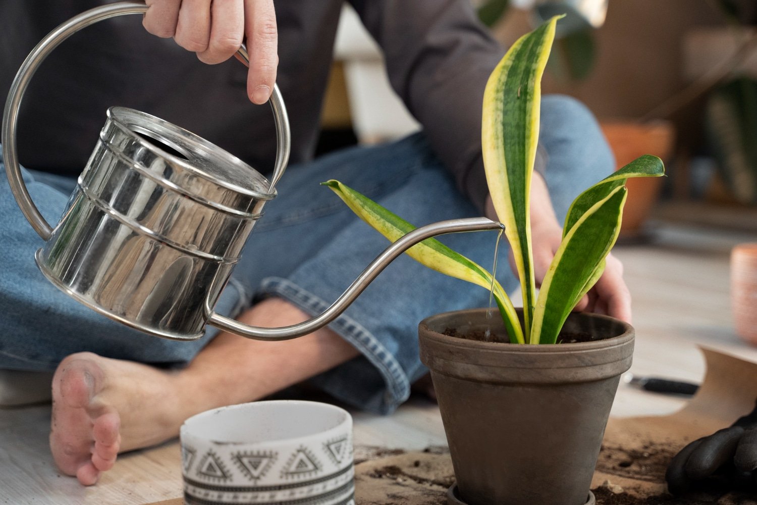 Read more about the article Grow Healthy Plants Easily With easyplant: easy-care self-watering plants’s Innovative Plant Care Products